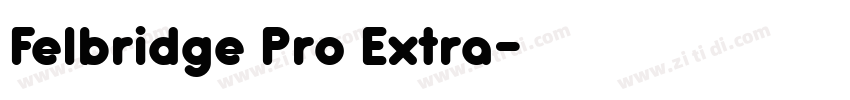 Felbridge Pro Extra字体转换